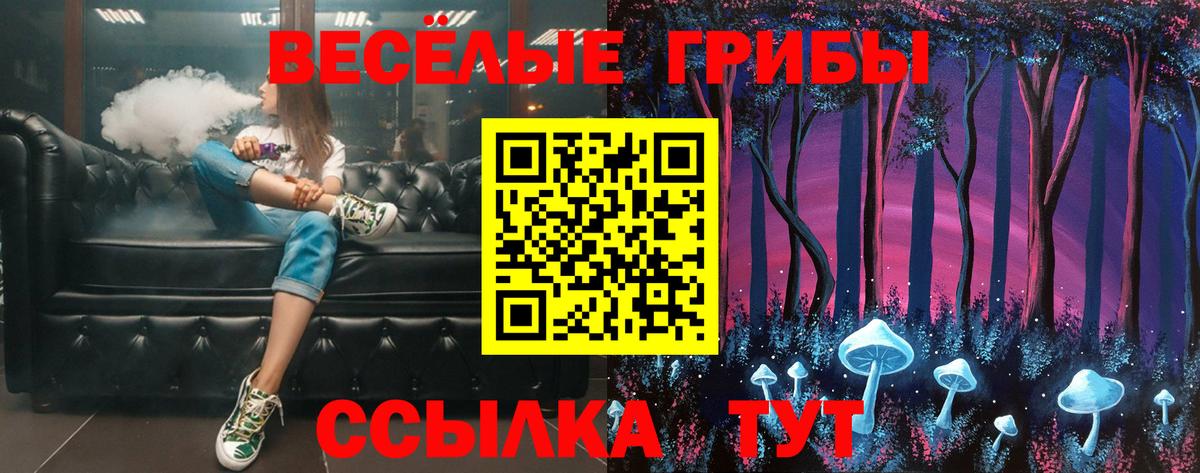 Новочебоксарск  Галлюциногенные грибы Cubensis  Галлюциногенные грибы прущие грибы  Вход с VPN 